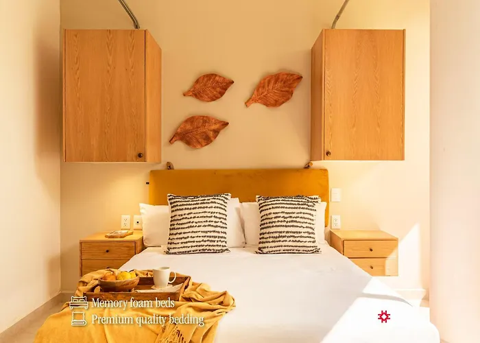 Kukun Insurgentes Roma 4*